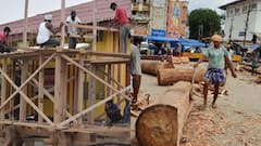 बस्तर दशहरा: 600 साल पुरानी परंपरा पर संकट, क्या जंगल बचाने के लिए रुकेगा विशाल रथ का निर्माण?