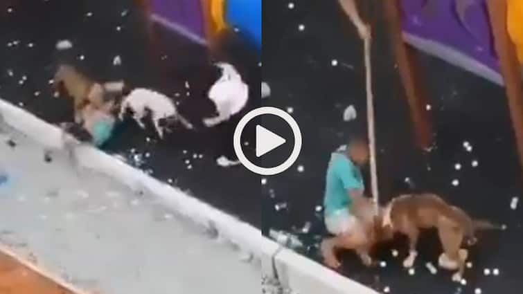 पार्क में खेल रहे बच्चे को कुत्तों ने नोंचा, एक तो पैर पकड़कर लटक गया, मंजर कैमरे में कैद