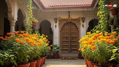 वास्तु के अनुसार घर में गेंदे के फूल को सही दिशा में लगाएं, धन-समृद्धि और खुशहाली पाएं!