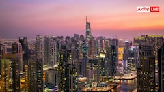 दुबई में सबसे महंगी बिकीं ये चीजें, एक तो इस भारतीय ने खरीदकर मचाया धमाल