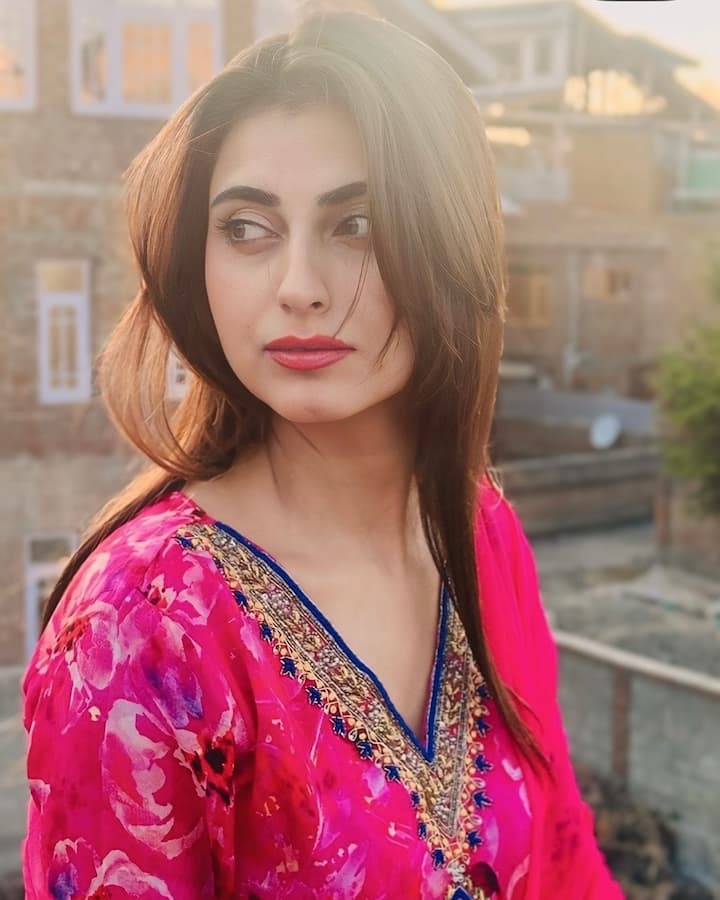 बिग बॉस का हिस्सा बनकर उन्होंने अपनी कहानी सभी के साथ शेयर की. अदाकारा तृप्ति डिमरी और अविनाश तिवारी की पॉपुलर फिल्म 'लैला मजनू' का हिस्सा रह चुकी हैं. इसके साथ ही उन्होंने 'नोटबुक' में भी अपने एक्टिंग स्किल्स का प्रदर्शन किया है.