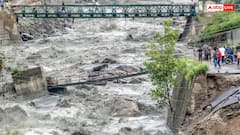 हिमाचल प्रदेश में भारी बारिश का अलर्ट, 8 जिलों में सभी स्कूल और कॉलेज बंद