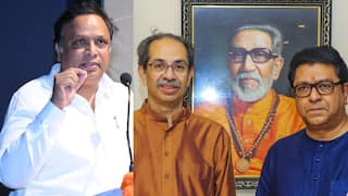 Ashish Shelar: आशिष शेलारांनी ठाकरे बंधूंच्या जखमेवर मीठ चोळलं, म्हणाले, बेस्ट पतपेढीच्या निवडणुकीतील 'भोपळा' फ्रेम करुन पाठवणार