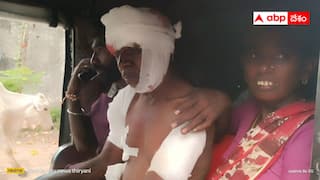 Adilabad News: పిల్లల ఎలుగుబంటి మాటు వేసి దాడి చేసింది - ఈ ఆడవిలో చాలా డేంజర్