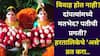 Hartalika 2025: विवाह होत नाही? दांपत्यांमध्ये मतभेद? पतीची प्रगती? हरतालिकेचे 'असे' व्रत कराल, सौभाग्य कुठेही जाणार नाही..