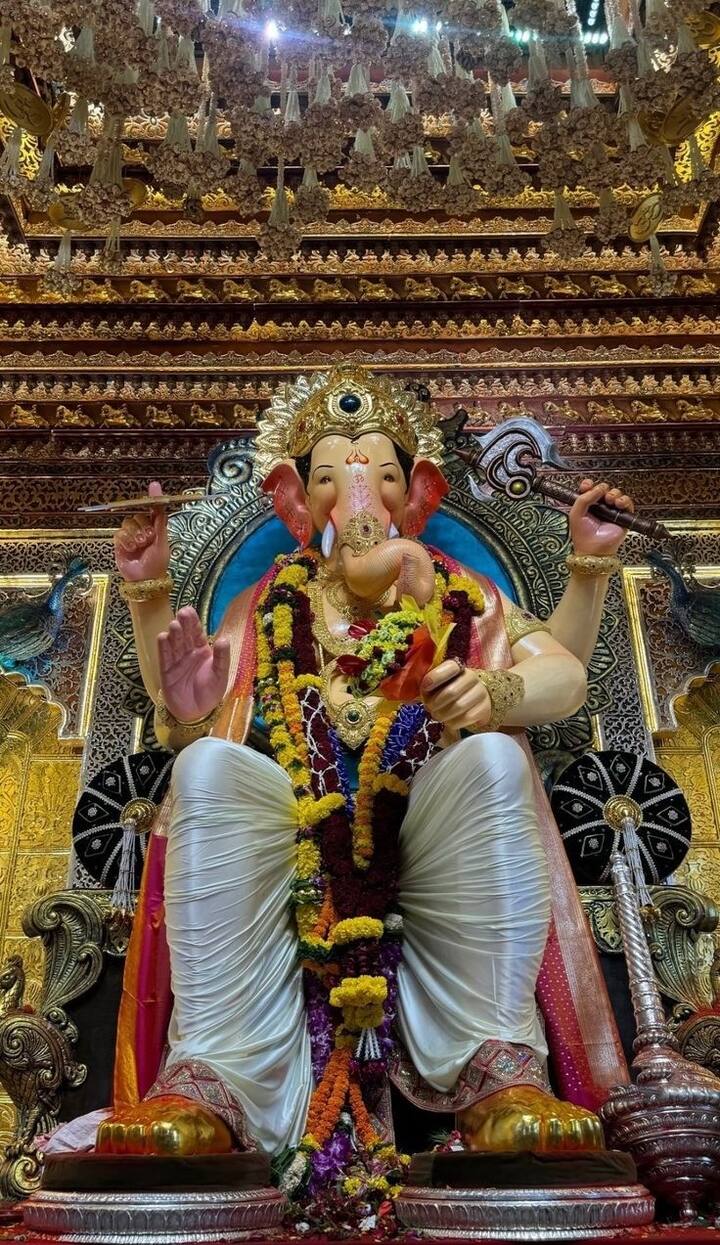 मुखदर्शन : हे सुद्धा सकाळी ६ वाजता सुरू होतं आणि रात्री ११ वाजेपर्यंत करता येतं.