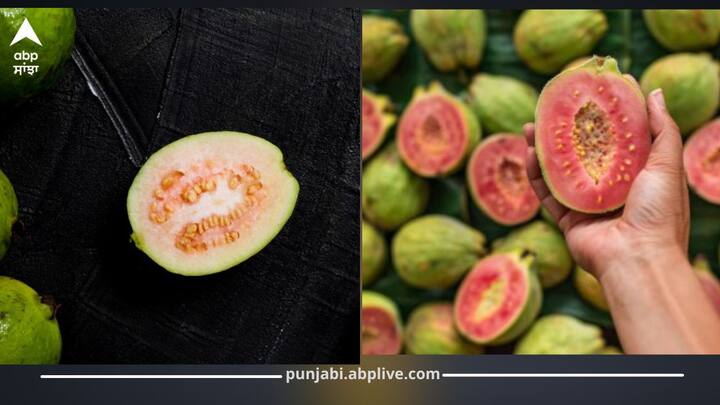 ਅਮਰੂਦ ਪੌਸ਼ਟਿਕ ਤੱਤਾਂ ਨਾਲ ਭਰਪੂਰ ਫਲ ਹੈ ਜਿਸ 'ਚ ਵਿਟਾਮਿਨ ਸੀ, ਐਂਟੀਆਕਸੀਡੈਂਟ, ਫਾਈਬਰ ਅਤੇ ਪੋਟੈਸ਼ੀਅਮ ਵਧੀਆ ਮਾਤਰਾ ਵਿੱਚ ਹੁੰਦਾ ਹੈ। ਇਹ ਇਮਿਊਨਿਟੀ ਵਧਾਉਂਦਾ ਹੈ, ਪਾਚਨ ਸੁਧਾਰਦਾ ਹੈ ਅਤੇ ਦਿਲ ਦੀ ਸਿਹਤ ਲਈ ਲਾਭਕਾਰੀ ਹੈ। ਪਰ ਹਰ ਕਿਸੇ ਲਈ