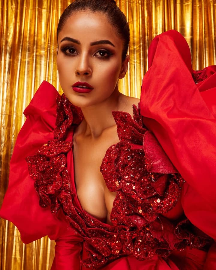 Shahnaz had stepped into Bollywood's film Kisi's brother someone's life in Bollywood, after that he was seen in a Thank for Coming.