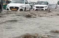 Gujarat Rain Update:રાજ્યમાં છેલ્લા 24 કલાકમાં 225 તાલુકામાં નોંધાયો વરસાદ, જાણો વધુ ક્યાં વરસ્યો