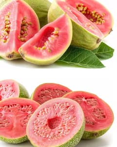 ਹਰ ਕਿਸੇ ਲਈ ਲਾਭਕਾਰੀ ਨਹੀਂ ਇਹ ਵਾਲਾ ਫਲ, ਜਾਣੋ ਕਿਹੜੇ ਲੋਕਾਂ ਨੂੰ ਪਰਹੇਜ਼ ਰੱਖਣਾ ਚਾਹੀਦਾ...ਨਹੀਂ ਤਾਂ ਖੜ੍ਹੀਆਂ ਹੋਣਗੀਆਂ ਪ੍ਰੇਸ਼ਾਨੀਆਂ