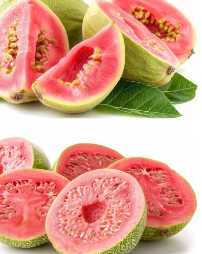 ਅਮਰੂਦ ਪੌਸ਼ਟਿਕ ਤੱਤਾਂ ਨਾਲ ਭਰਪੂਰ ਫਲ ਹੈ ਜਿਸ ਵਿੱਚ ਵਿਟਾਮਿਨ ਸੀ, ਐਂਟੀਆਕਸੀਡੈਂਟ, ਫਾਈਬਰ ਅਤੇ ਪੋਟੈਸ਼ੀਅਮ ਵਧੀਆ ਮਾਤਰਾ ਵਿੱਚ ਹੁੰਦਾ ਹੈ। ਇਹ ਇਮਿਊਨਿਟੀ ਵਧਾਉਂਦਾ ਹੈ, ਪਾਚਨ ਸੁਧਾਰਦਾ ਹੈ ਅਤੇ ਦਿਲ ਦੀ ਸਿਹਤ ਲਈ ਲਾਭਕਾਰੀ ਹੈ। ਪਰ ਹਰ ਕਿਸੇ ਲਈ ਇਹ ਚੰਗਾ ਨਹੀਂ, ਕੁਝ ਲੋਕਾਂ ਨੂੰ ਪਾਚਨ ਦੀਆਂ ਸਮੱਸਿਆਵਾਂ, ਐਲਰਜੀ ਜਾਂ ਪਹਿਲਾਂ ਦੀਆਂ ਬਿਮਾਰੀਆਂ ਕਾਰਨ ਨੁਕਸਾਨ ਵੀ ਹੋ ਸਕਦਾ ਹੈ।