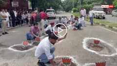 Video: टैक्नोलोजिया! जहां-जहां गढ्ढे वहां खिला दिए कमल, सड़कों पर अनोखा प्रदर्शन, वीडियो वायरल