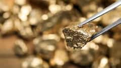 Gold Mines: भारतात सापडली सर्वात मोठी सोन्याची खाण; 'या' राज्याला जॅकपॉट, किती सोनं मिळणार?