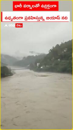 భారీ వర్షాలతో ఉద్రిక్తంగా  ప్రవహిస్తున్న బియాస్ నది