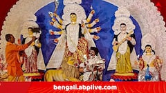 'হিসেব না দিলে, পুজো কমিটিকে অনুদান দেওয়া বন্ধ হোক', পুজো-অনুদান মামলার পর্যবেক্ষণে মন্তব্য় হাইকোর্টের বিচারপতির