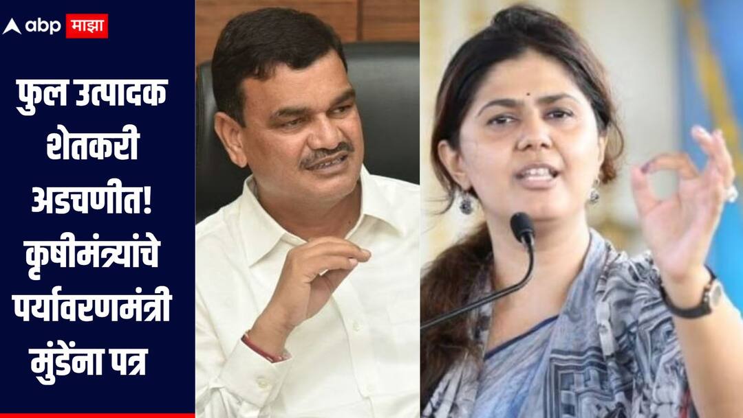 Legally ban the use of artificial flowers Agriculture Minister Dattatray Bharane writes to Environment Minister Pankaja Munde फुल उत्पादक शेतकरी अडचणीत! कृषीमंत्री दत्तात्रय भरणेंचं पर्यावरणमंत्री पंकजा मुंडेंना पत्र, नेमकी मागणी काय?