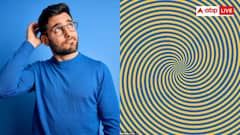 तस्वीर में छिपा है खुफिया नंबर, खोजने के लिए आपके पास हैं केवल 10 सेकेंड