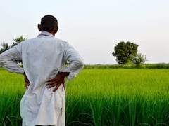 આ સરકારી યોજનામાં ખેડૂતોને મળશે વાર્ષિક ₹36,000, જાણો અરજી કરવાની સરળ પ્રક્રિયા