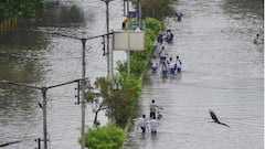 पंजाब में बाढ़ संकट गहराया, उफान पर सतलुज-ब्यास-रावी, कई जिलों में स्कूल बंद