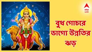 Budh Gochar 2025: আর কয়েক দিন পরই, বুধের নজরে উন্নতির ঝড়, ঘুমন্ত ভাগ্য জাগবে এই রাশিদের!