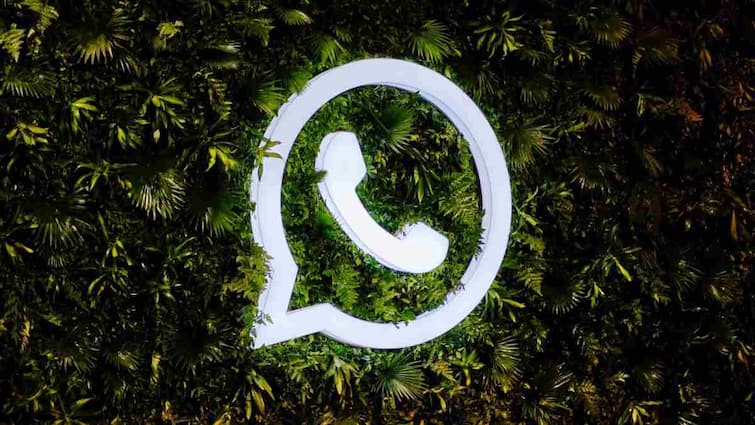 Whatsapp पर सेव किया नंबर फोन में क्यों नहीं दिखता? जानें क्या है सही तरीका