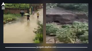 Heavy Rain in Punjab: ਭਾਰੀ ਮੀਂਹ ਦਾ ਕਹਿਰ, ਪੰਜਾਬ ਦੇ ਦਰਜਨਾਂ ਪਿੰਡ ਡੁੱਬੇ, ਧੁੱਸੀ ਬੰਨ੍ਹ ਟੁੱਟਿਆ, ਫਸਲਾਂ ਦਾ ਨੁਕਸਾਨ, ਹੈਰਾਨ ਕਰਨ ਵਾਲੀ ਤਸਵੀਰਾਂ