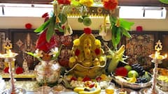 వినాయక పూజకోసం పిచ్చి మొక్కలు కొనకండి, 21 పత్రుల రహస్యం! పూజలో వాడే ఆకుల ఔషధ గుణాలు, ఆరోగ్య రహస్యాలు