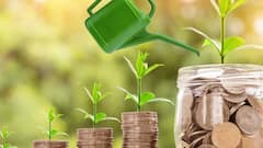 बचतीपासून गुंतवणुकीकडे: तुमचे पैसे तुमच्यासाठी कसे काम करतील? लेखिका आणि वित्त प्रशिक्षक अल्पा शाह यांची महत्वपूर्ण माहिती 