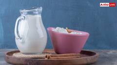 दही Vs छाछ, जानिए दोनों में से कौन है आपकी हेल्थ के लिए बेस्ट