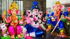 Vinayagar Chathurthi 2025 : விழுப்புரத்தில் பிரம்மாண்ட விநாயகர் சிலைகள் விற்பனை