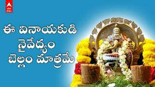 Visakhapatnam Bellam Vinayaka Temple | బెల్లాన్ని మాత్రమే నైవేద్యంగా స్వీకరించే బెల్లం వినాయకుడు | ABP Desam