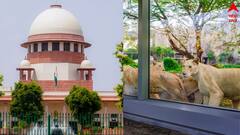 রিলায়েন্সের বনতারা-তদন্তে SIT গঠন সুপ্রিম কোর্টের, 'শ্রদ্ধার সঙ্গে স্বীকার করছি', বলল সংস্থা