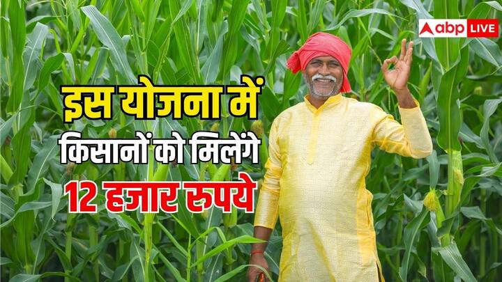 देश के किसानों के लिए है एक खास योजना शुरू की गई है. जिसमें आवदेन कर किसान हासिल कर सकते हैं हर साल 12 हजार रुपये. जानें कौनसी है यह योजना और कैसे करें इसमें अप्लाई.