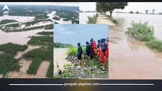 Punjab News: ਸੂਬੇ 'ਚ ਸਕੂਲ ਬੰਦ ਤੋਂ ਲੈ ਕੇ ਅਫ਼ਸਰਾਂ ਅਤੇ ਕਰਮਚਾਰੀਆਂ ਦੀ ਛੁੱਟੀਆਂ ਰੱਦ, ਜ਼ਿਲ੍ਹਿਆਂ 'ਚ ਚੇਤਾਵਨੀ ਜਾਰੀ