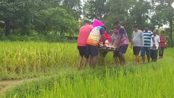 कुणी डोक्यावर बाप्पाला घेऊन घरी नेत आहेत, तर कुणी पालखीतून लाडक्या बाप्पाला घरी घेऊन जातानाचा दृश्य पाहायला मिळत आहेत.