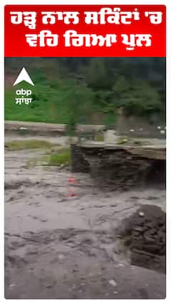 ਹੜ੍ਹ ਨਾਲ ਸਕਿੰਟਾਂ 'ਚ  ਵਹਿ ਗਿਆ ਪੁਲ