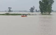 ਕਪੂਰਥਲਾ ਤੇ ਸੁਲਤਾਨਪੁਰ ਵਿੱਚ ਹੜ੍ਹਾਂ ਕਾਰਨ ਹੋਈ ਭਾਰੀ ਤਬਾਹੀ, ਹਜ਼ਾਰਾਂ ਏਕੜ ਫ਼ਸਲ ਤਬਾਹ, ਕਿਸਾਨਾਂ ਦੇ ਫੁੱਟੇ ਹੰਝੂ, ਕੰਟਰੋਲ ਰੂਮ ਸਥਾਪਤ