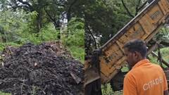 मध्य प्रदेश के सिंगरौली में कचरा घोटाला, 18 करोड़ खर्च, फिर भी गंदगी, EOW की जांच शुरू