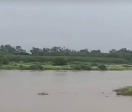 ਪੰਜਾਬ 'ਚ ਹੜ੍ਹ ਦਾ ਕਹਿਰ! ਗੁਰਦੁਆਰਾ ਸ੍ਰੀ ਕਰਤਾਰਪੁਰ ਸਾਹਿਬ 'ਚ ਵੜ੍ਹਿਆ ਪਾਣੀ, ਕਈ ਜ਼ਿਲ੍ਹੇ ਪਾਣੀ ਦੀ ਮਾਰ ਹੇਠ, ਪਠਾਨਕੋਟ-ਜੰਮੂ ਹਾਈਵੇ 'ਤੇ ਵੀ ਪਾਣੀ ਭਰਿਆ