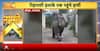 Breaking News: Elephant Terror In Haridwar, Driver Dies Of Heart Attack In Mathura Incident