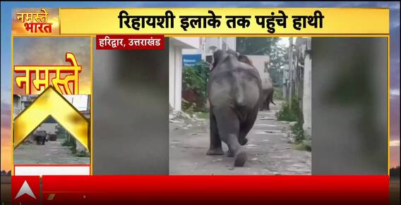 Breaking News: Elephant Terror In Haridwar, Driver Dies Of Heart Attack In Mathura Incident