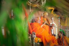 किस कॉलेज से पढ़े हैं जगद्गुरू रामभद्राचार्य, बाबा प्रेमानंद पर टिप्पणी के बाद हो रही चर्चा?