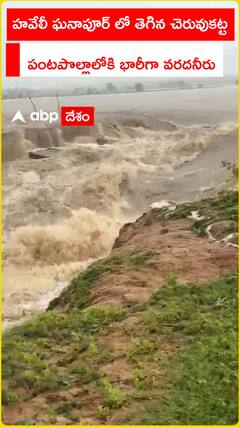 హవేలీ ఘనాపూర్ లో తెగిన చెరువు కట్ట పంటపొలాల్లోకి వరదనీరు