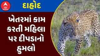 Dahod Leopard Attack : દાહોદમાં ખેતરમાં કામ કરતી મહિલા પર દીપડાનો હુમલો, જુઓ અહેવાલ