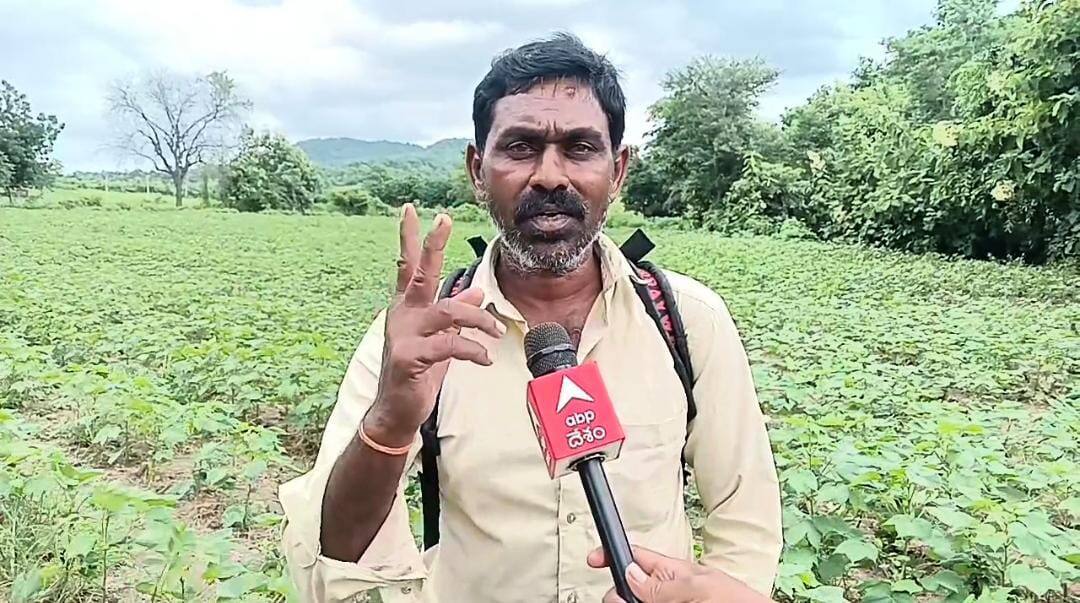 Adilabad Latest News: ఉమ్మడి ఆదిలాబాద్ జిల్లాలో రైతుల యూరియా కష్టాలు -  రోడ్డు ఎక్కుతున్న అన్నదాతలు