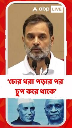 চোর ধরা পড়ার পর চুপ করে থাকে, আমার সাংবাদিক সম্মেলনের পরে BJP-ও চুপ ছিল : রাহুল গান্ধী