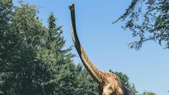 डायनासोर से भी पहले धरती पर रहते थे ये जीव, वैज्ञानिकों ने ढूंढ निकाला सबूत