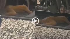 Video: रेल की पटरी पार नहीं कर पाई महिला, आ गई ट्रेन... फिर जो हुई, वीडियो देख थम जाएंगी सांसें