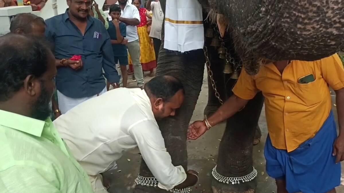 விநாயகர் சதுர்த்தி: மயிலாடுதுறையில் யானைக்கு வெள்ளி கொலுசு! பக்தர்களின் பரவசம், நெகிழ்ச்சியான நிகழ்வு!