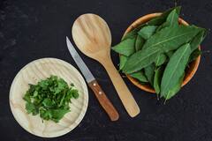 સ્વાસ્થ્યનો ખજાનો: લીમડાના પાન આ રોગોનો કરશે નાશ, જાણો તેના અદ્ભુત ફાયદા અને સેવન કરવાનો યોગ્ય સમય